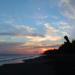 dsc00110.jpg