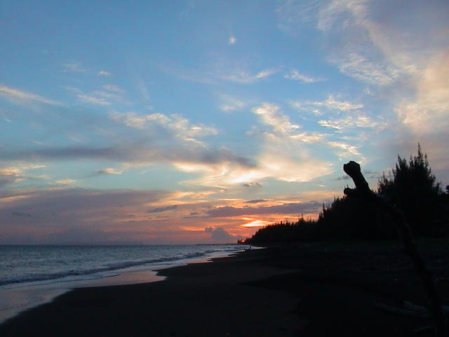 dsc00110.jpg