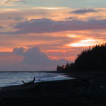 dsc00111.jpg