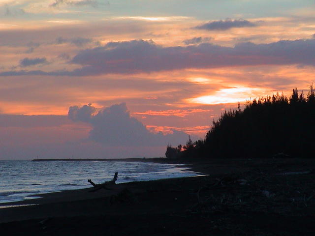 dsc00111.jpg