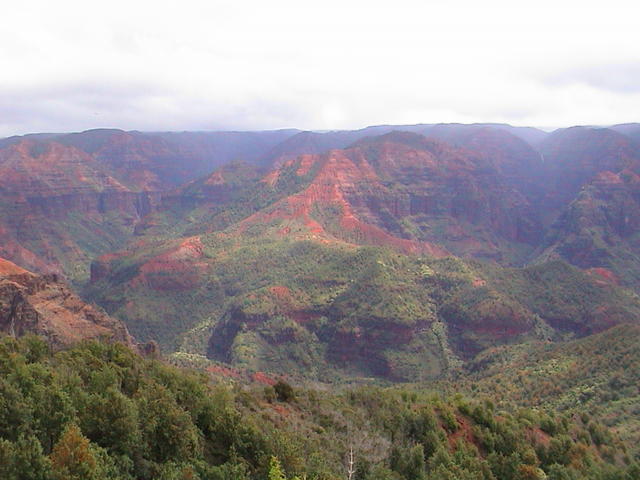dsc00115.jpg