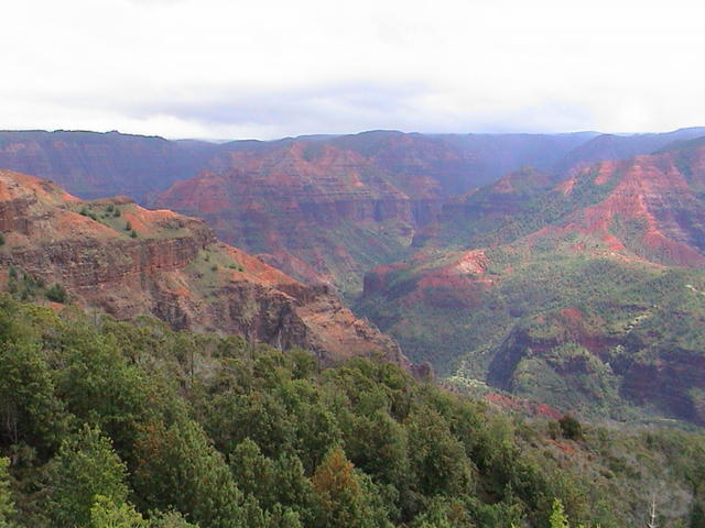 dsc00116.jpg