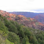 dsc00117.jpg