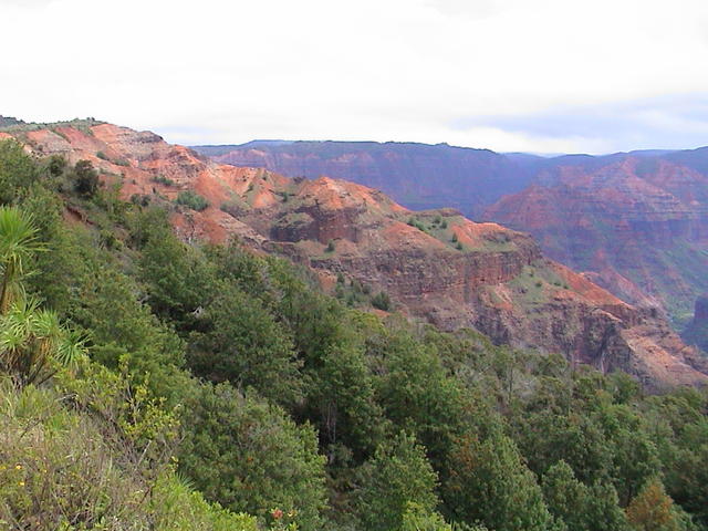 dsc00117.jpg