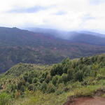 dsc00118.jpg