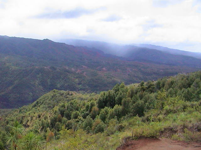 dsc00118.jpg