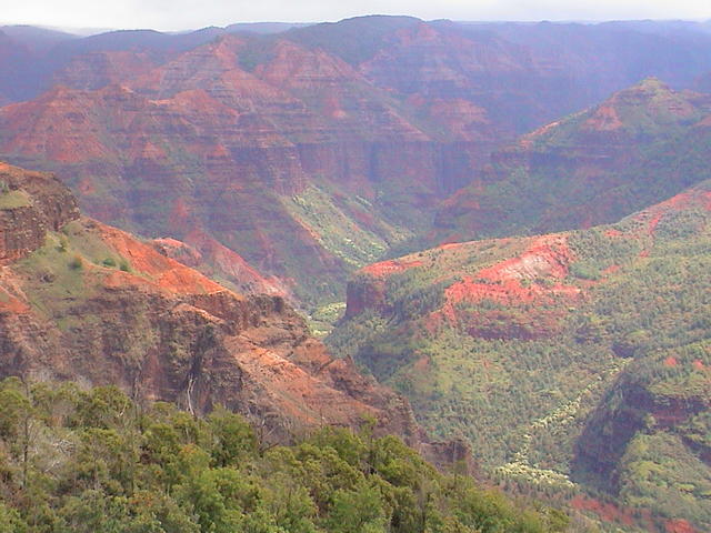 dsc00120.jpg