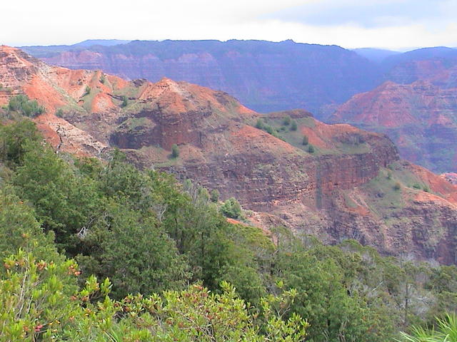 dsc00121.jpg