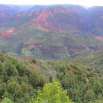 dsc00124.jpg