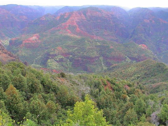 dsc00124.jpg