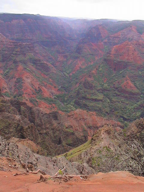 dsc00127.jpg