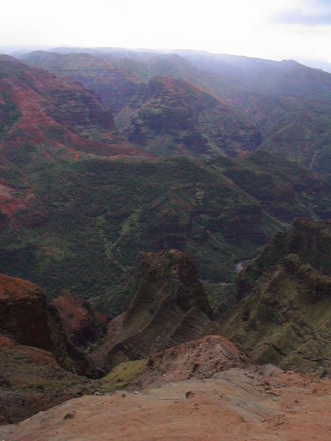 dsc00131.jpg