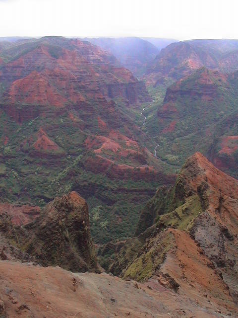dsc00132.jpg