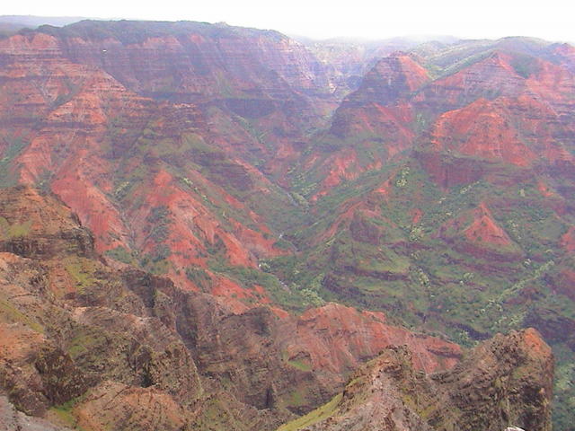 dsc00133.jpg