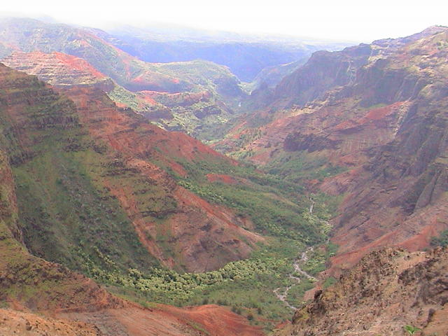 dsc00135.jpg