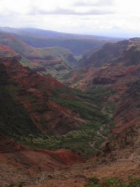 dsc00136.jpg
