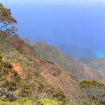 dsc00137.jpg