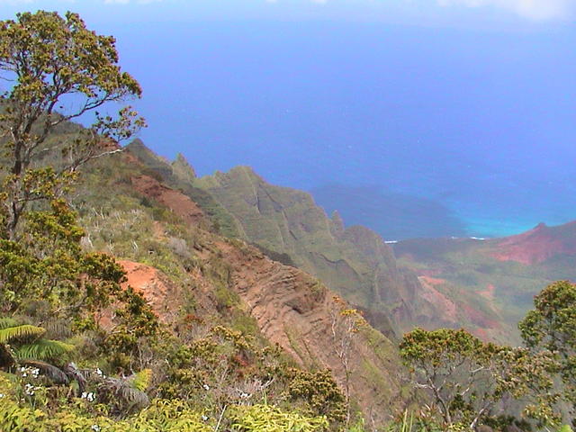 dsc00137.jpg