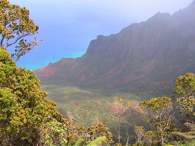 dsc00138.jpg