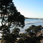 dsc00002.jpg