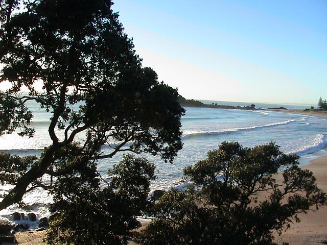 dsc00002.jpg