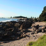 dsc00008.jpg