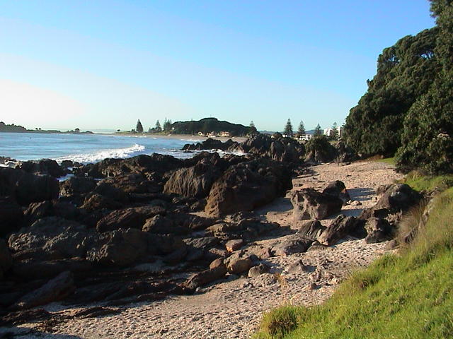 dsc00008.jpg