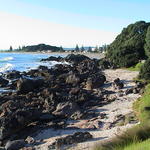 dsc00009.jpg