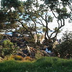 dsc00012.jpg