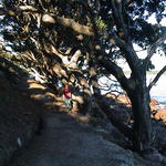 dsc00014.jpg