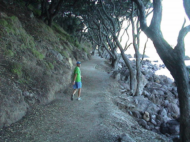 dsc00015.jpg