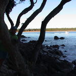 dsc00018.jpg