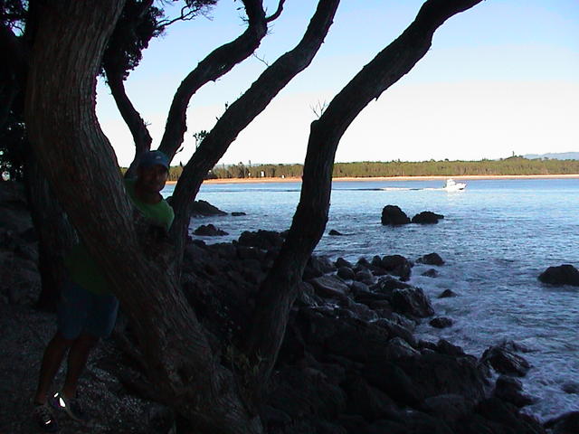 dsc00018.jpg