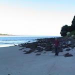 dsc00019.jpg