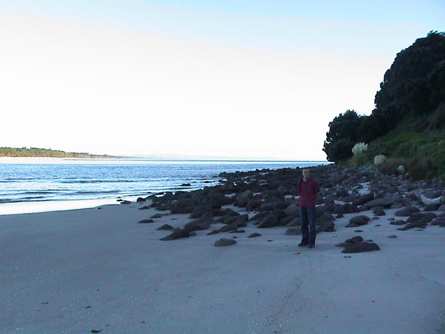 dsc00019.jpg