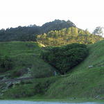 dsc00020.jpg