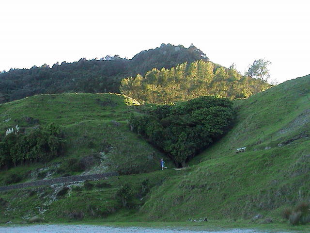 dsc00020.jpg