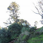 dsc00021.jpg