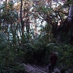 dsc00034.jpg