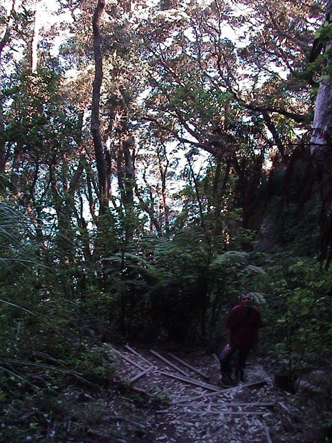 dsc00034.jpg