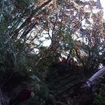 dsc00035.jpg