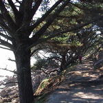 dsc00037.jpg