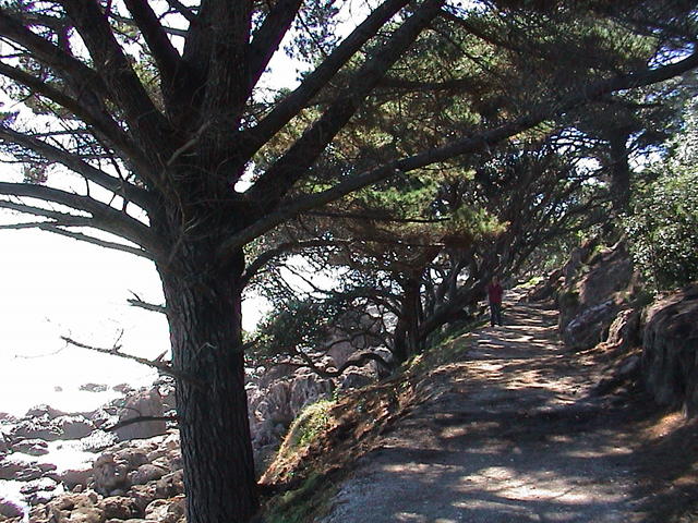 dsc00037.jpg