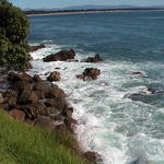 dsc00040.jpg