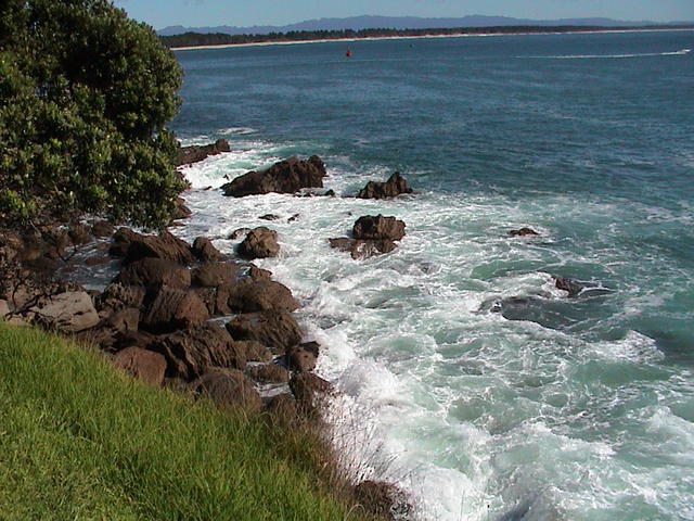 dsc00040.jpg