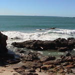 dsc00041.jpg