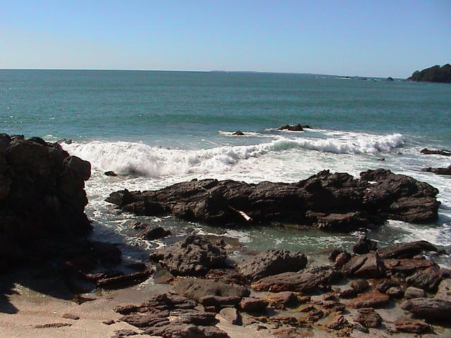 dsc00041.jpg