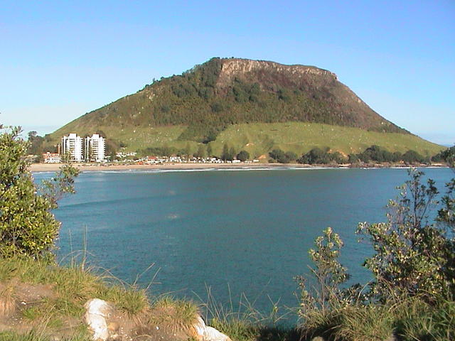dsc00044.jpg