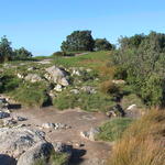 dsc00046.jpg