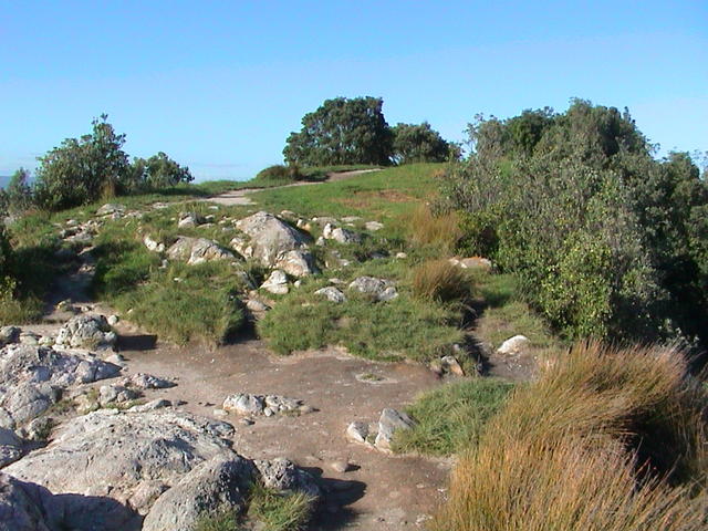 dsc00046.jpg